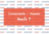 Vowel และ Consonant คืออะไร?
